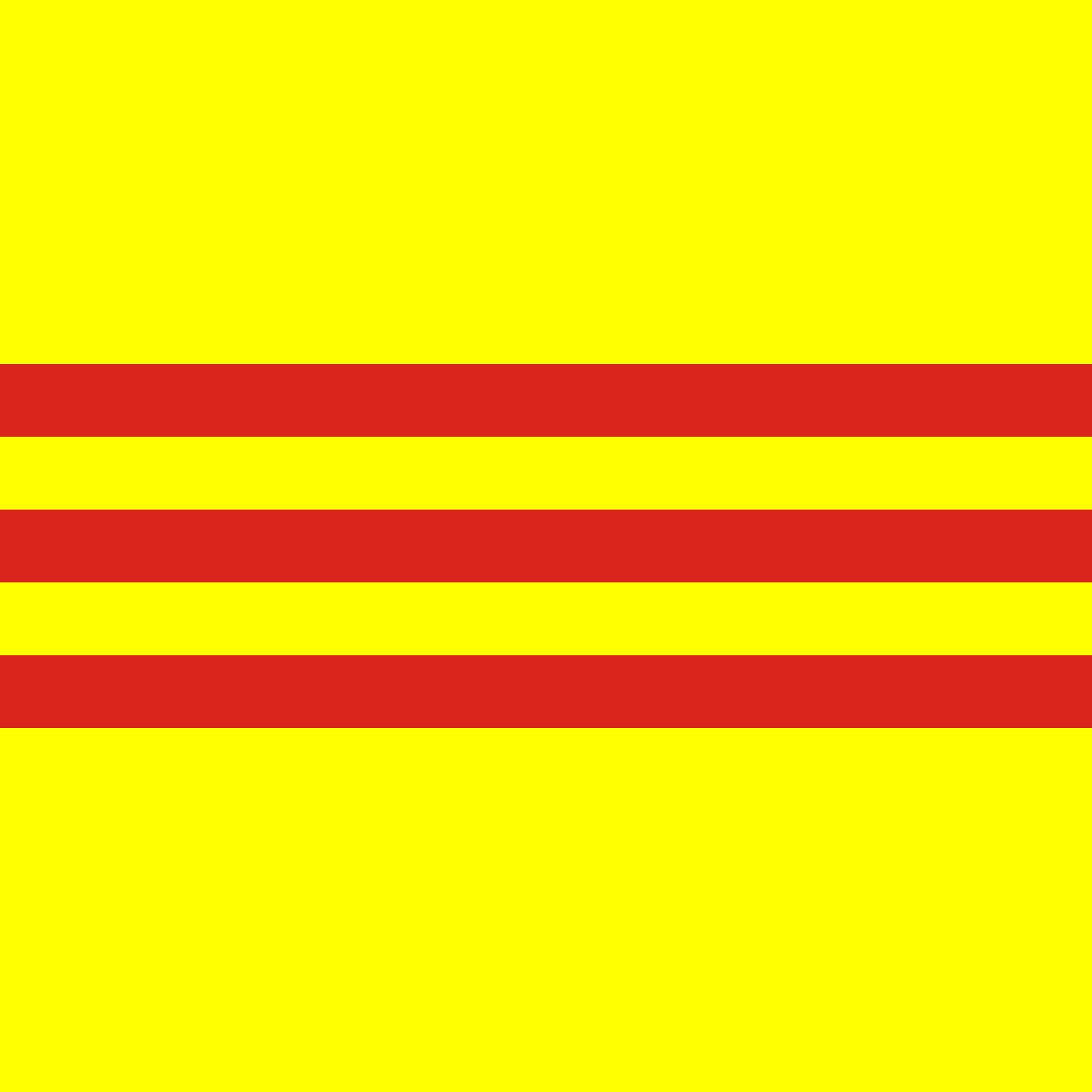 FLAG SV.jpg