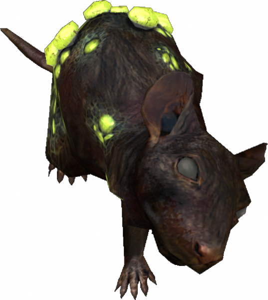 File:Rat.png
