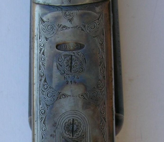 File:Robust de jacques-13.jpg